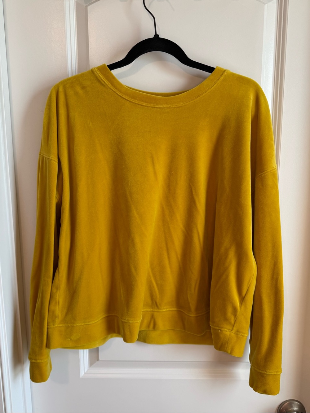 LOFT Mustard Yellow Long Sleeve Velour Shirt